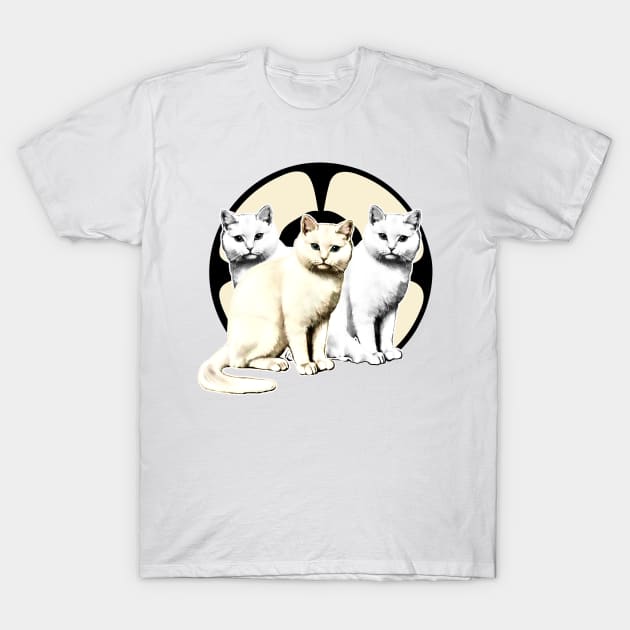 white and gray kittens T-Shirt by Marccelus